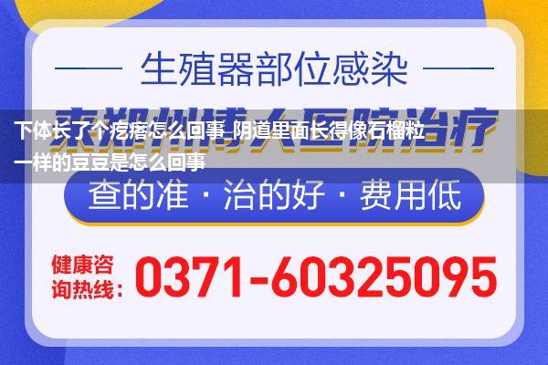 下体长了个疙瘩怎么回事_阴道里面长得像石榴粒一样的豆豆是怎么回事